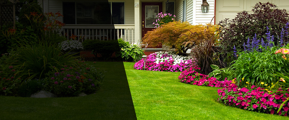 Port Chester Landscapers